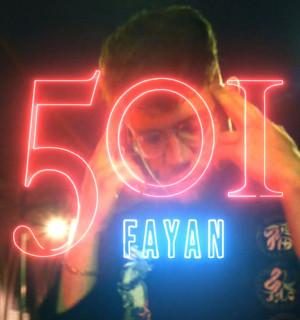 Fayan 501
